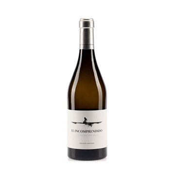 Incomprendido - Imagen 1