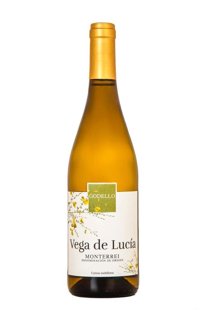 Vega Lucia Godello - Imagen 1